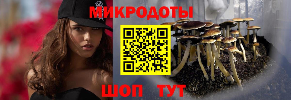 Псилоцибиновые грибы Psilocybine cubensis  Вход с VPN  Псилоцибиновые грибы ЛСД  Щёлково 